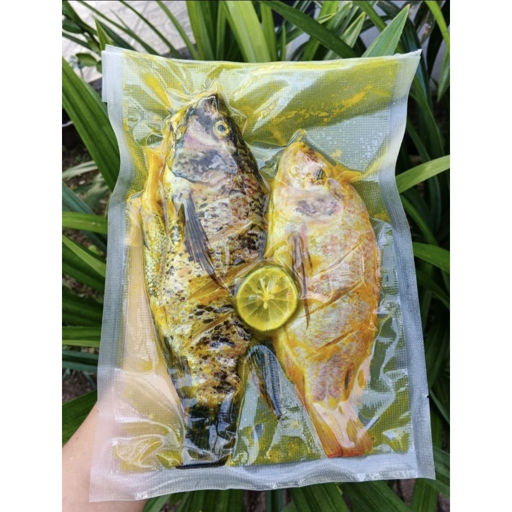 

Nila Marinasi Frozen (2 ekor)