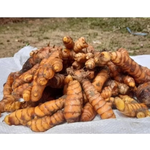 

Kunyit emprit 1 kg - Kunir organik asli tasikmalaya