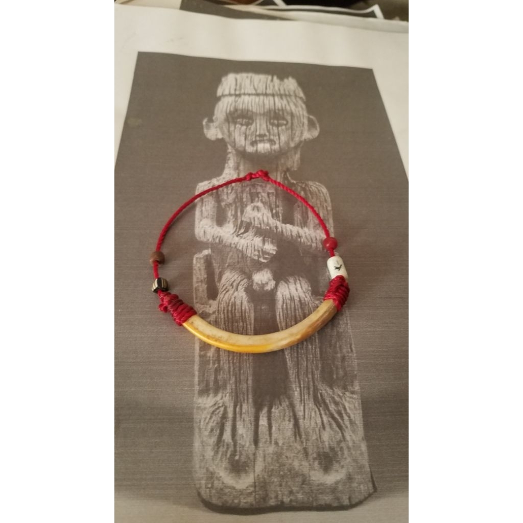 gelang taring landak hutan