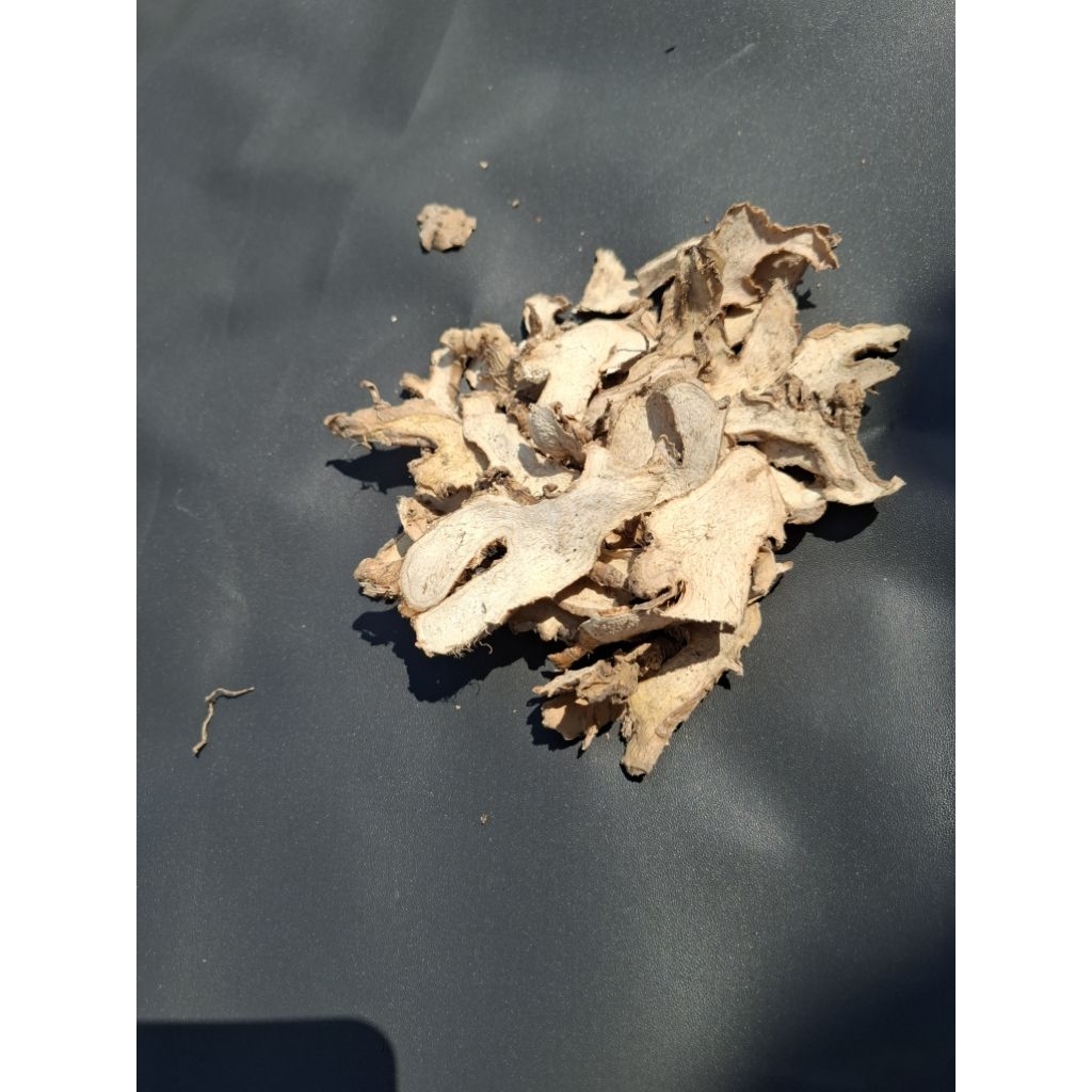 puyang lempuyang 1kg termurah lempuyang kering