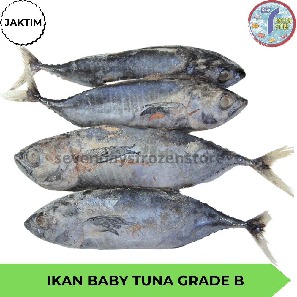 

Ikan Baby Tuna Grade B Frozen Beku Kapal Kemasan 800 Gr & 1 Kg