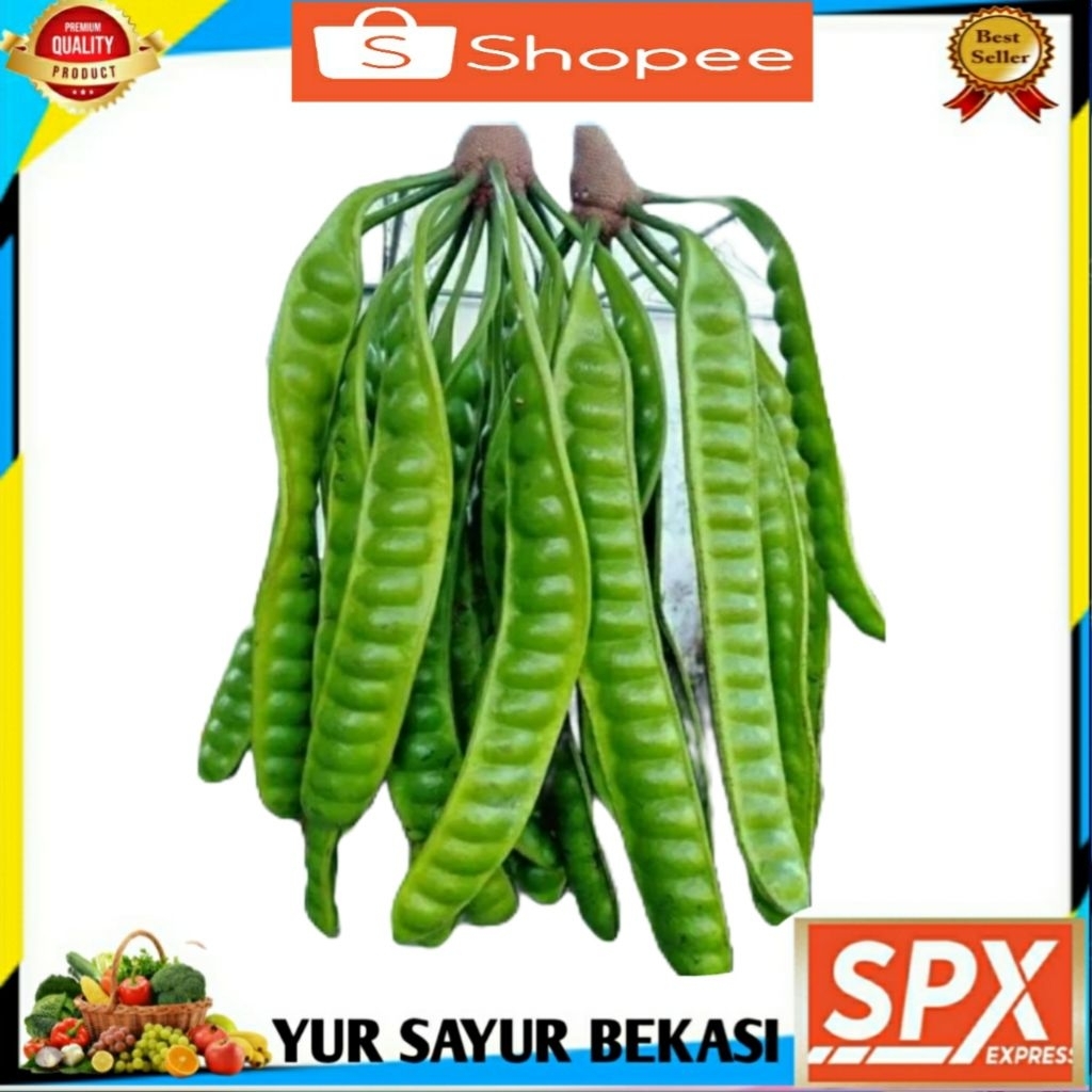 

Pete/Petai Segar Per Papan.