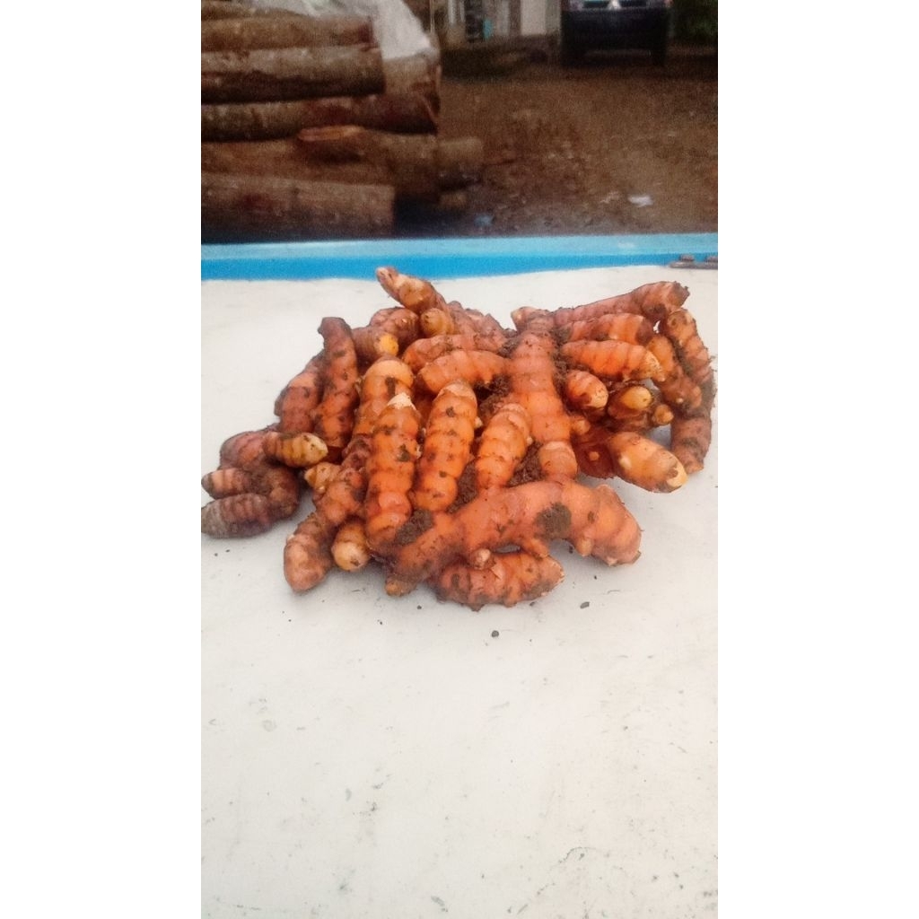 

kunir/kunyit 1kg warna makanan alami dan membuat citarasa makanan tambak nikmat