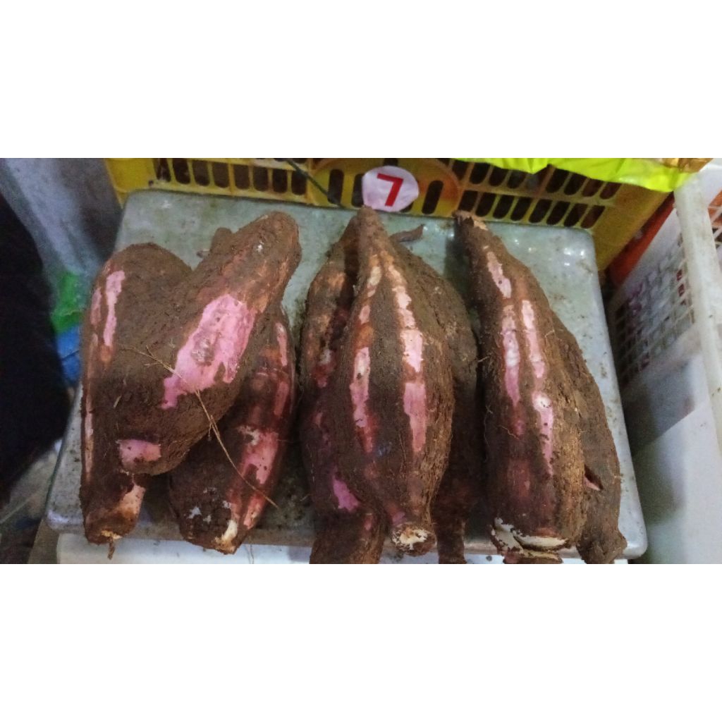 

singkong/hui rema 1kg