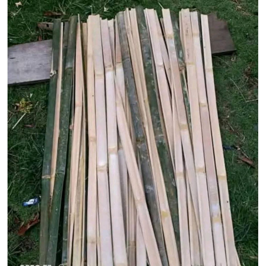 Bambu bilah 5 bilah panjang 100-120cm