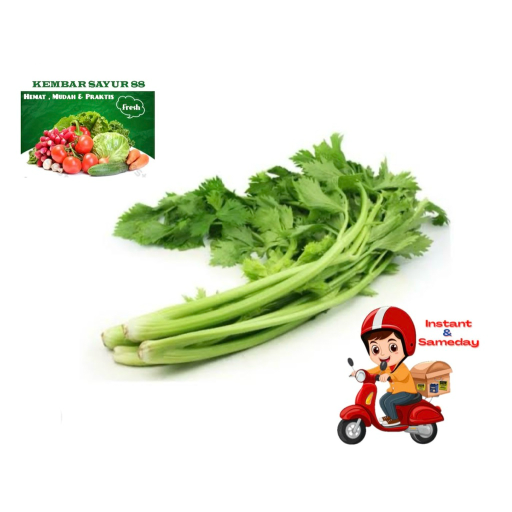 

Seledri - kembarsayur88