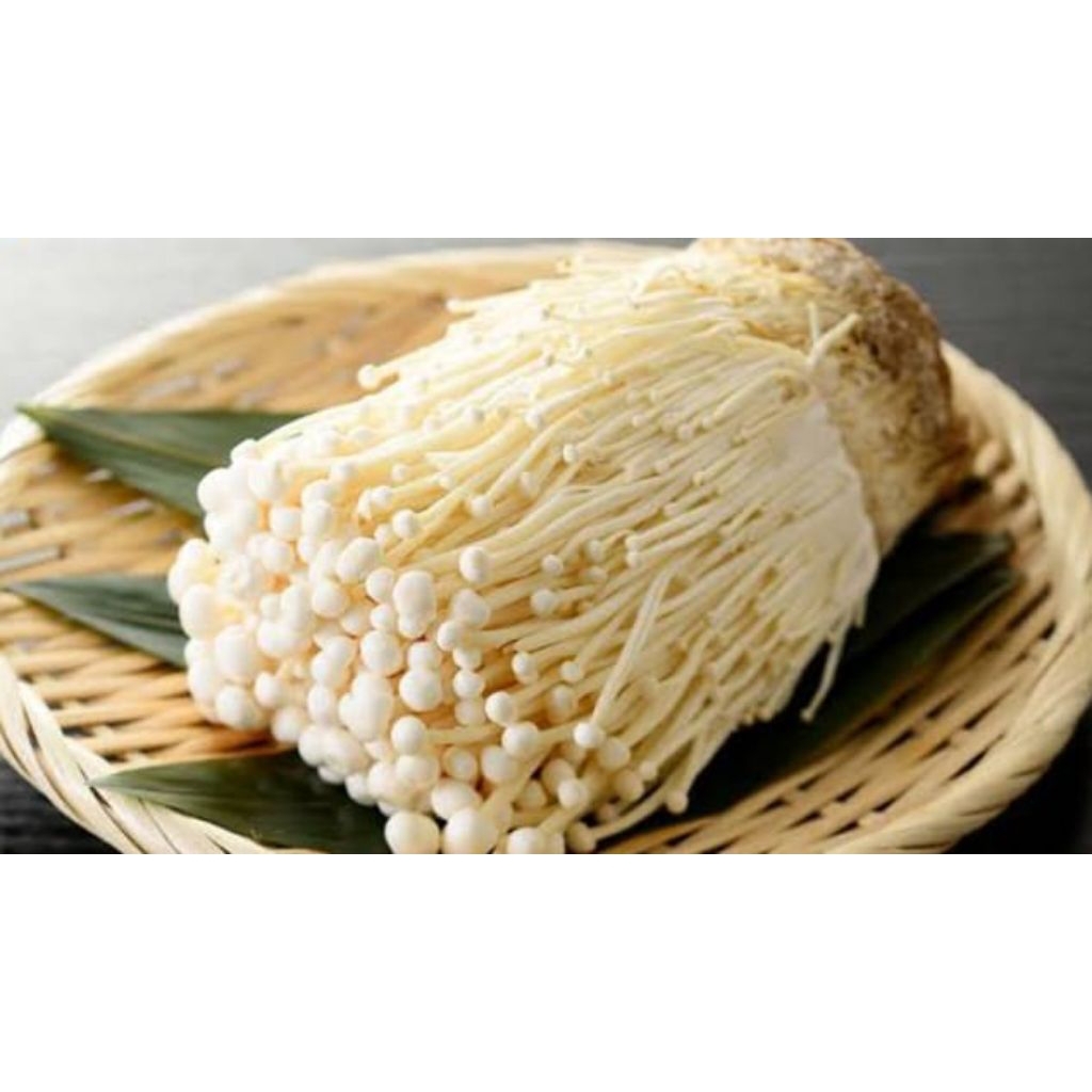 

jamur enoki 1pcs