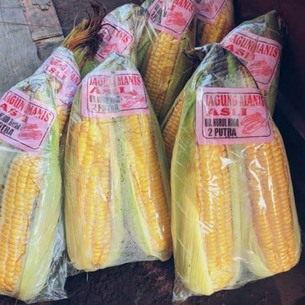 

Jagung manis fresh per pack isi 2 biji
