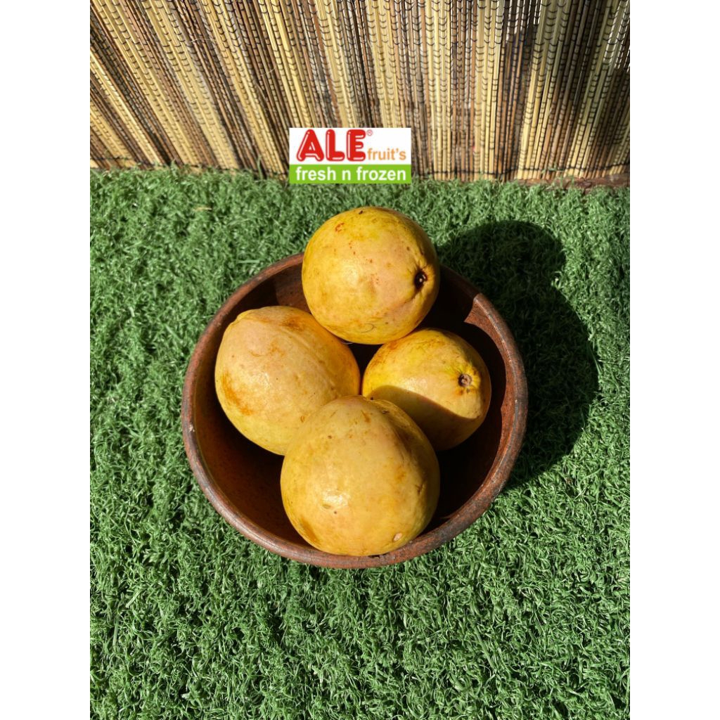 

Guava fresh fruits, buah jambu biji merah fresh, buah segar