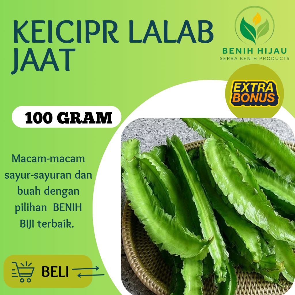 benih kecipir Lalab 100 gram benih biji