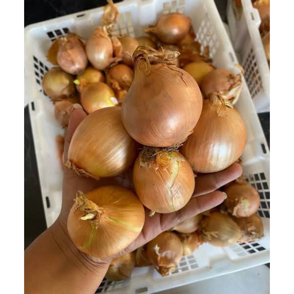 

[Kirim Instan] Bawang Bombai Iris 1KG