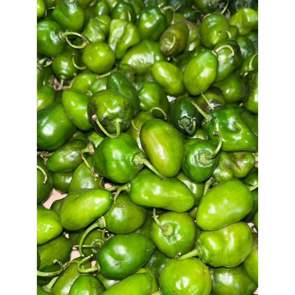 

cabe gendot bandung 250 gram