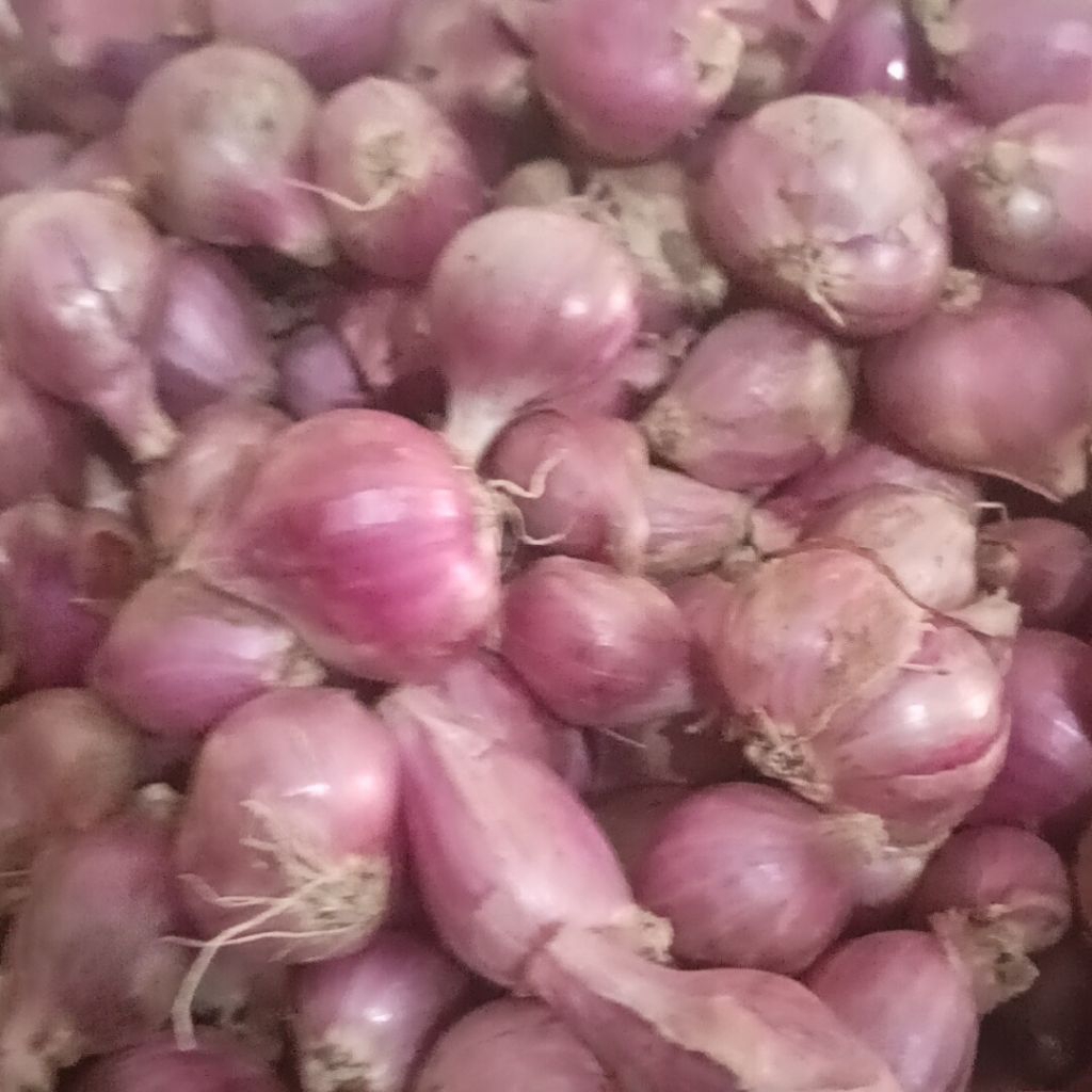 

Bawang merah| Bumbu Dapur wajib| Pelengkap kelezatan masakan