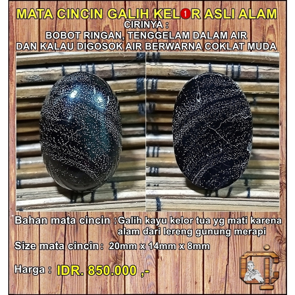 Mata cincin galih kelor asli alami antik langka bobot sangat ringan tapi tenggelam di air (bukan jen