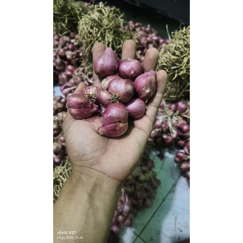 

Bawang merah super kering