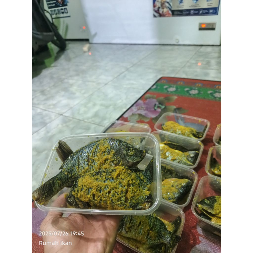 

ikan nila frozen