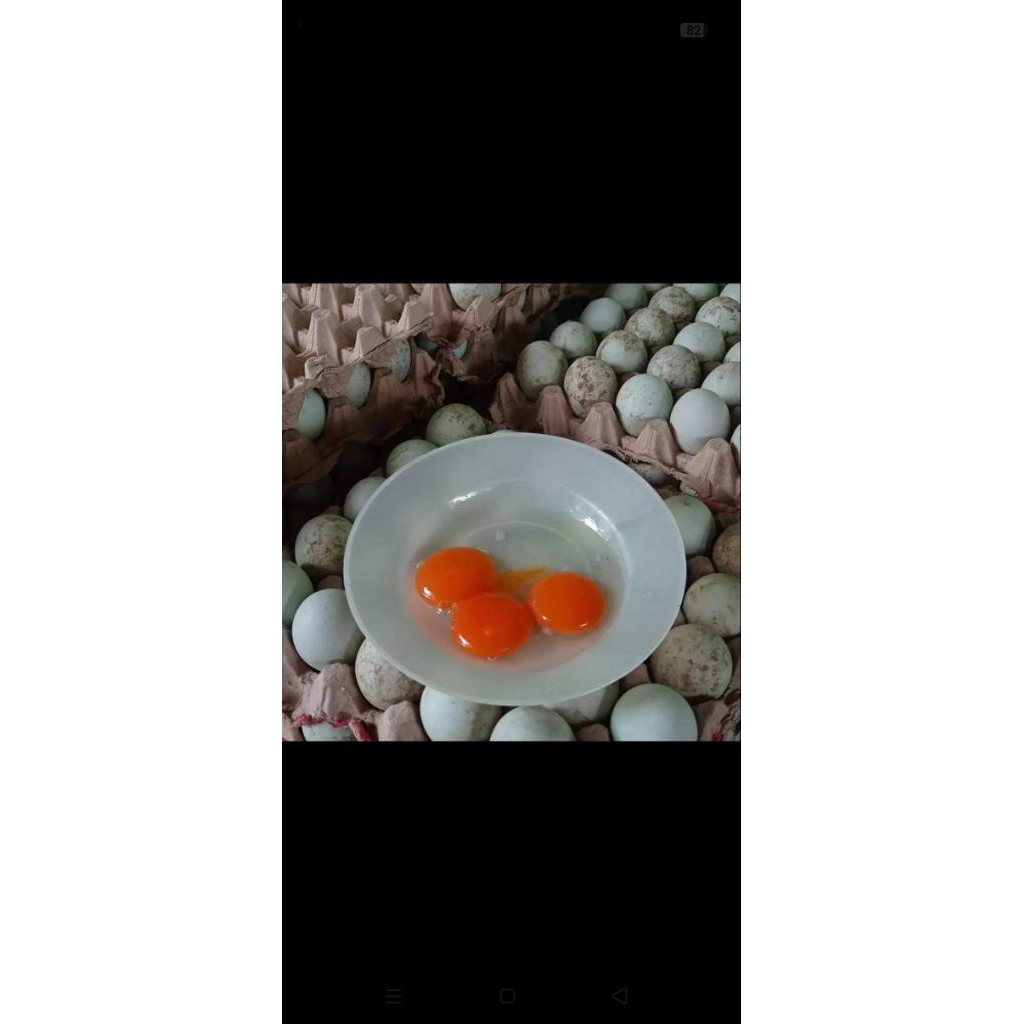 

telur bebek manik merah