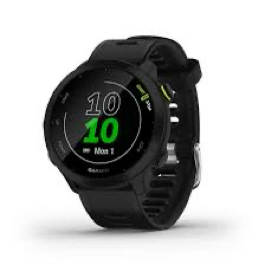 garmin forerunner 55