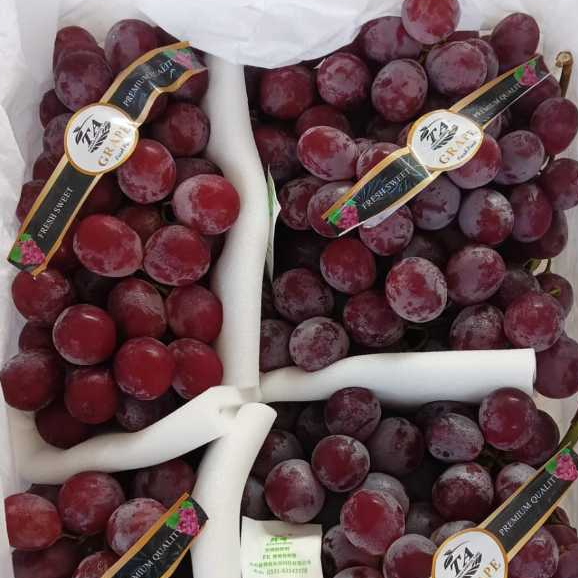 

ANGGUR RED GLOBE IMPORT