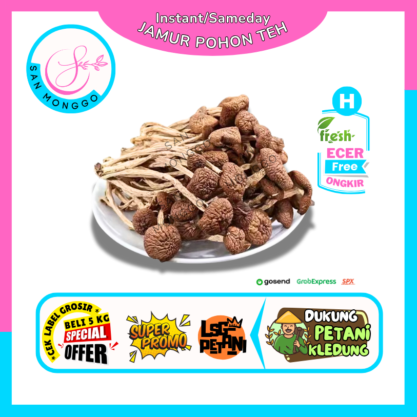 

Sanmonggoo >> Jamur Pohon Teh -- Hasil Bumi Sindoro Sumbing Ecer (H)