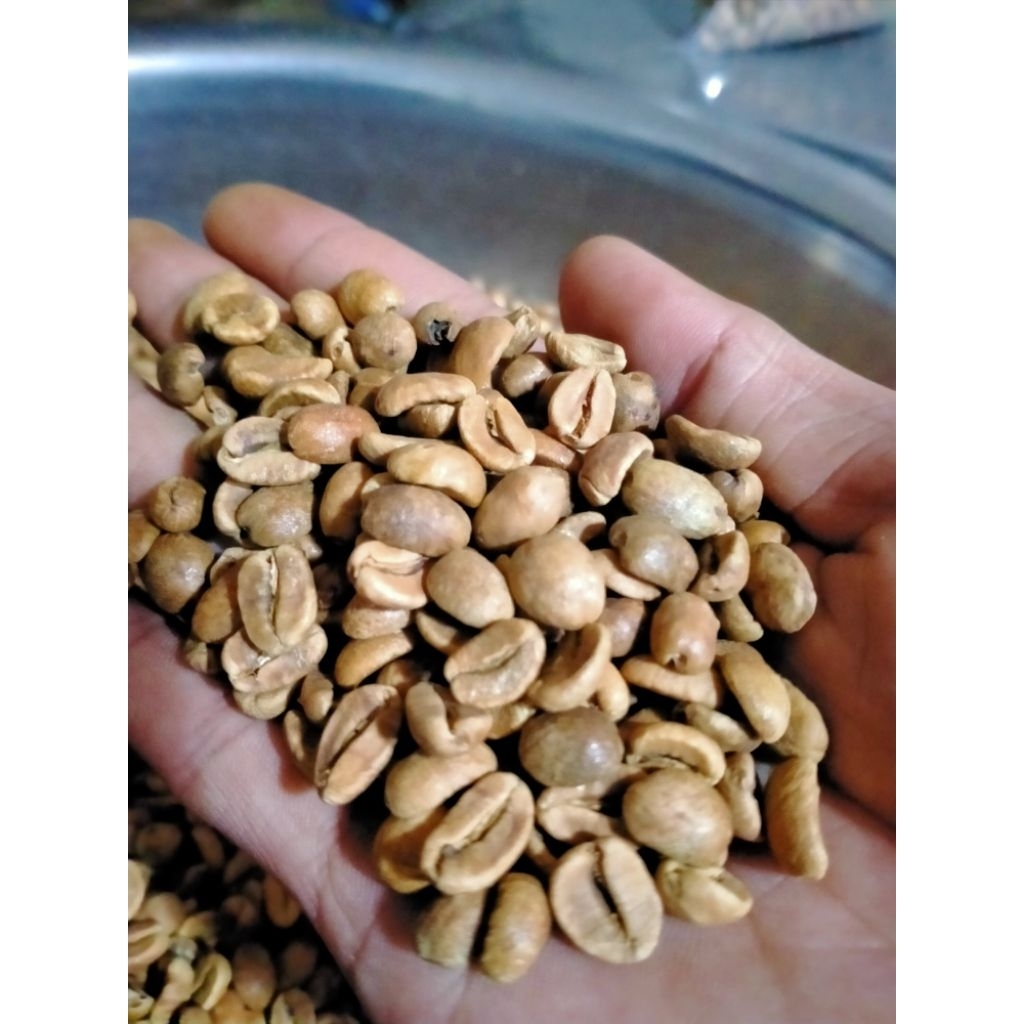 

Green Been Kopi WINE Arabika Gayo proses Fermentasi alami 15-30 hari grade 100g