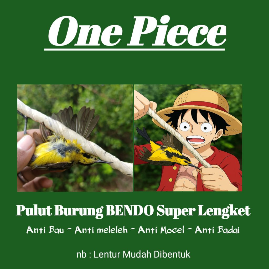 Pulut bendo pulut burung super lengket anti bau 1ons