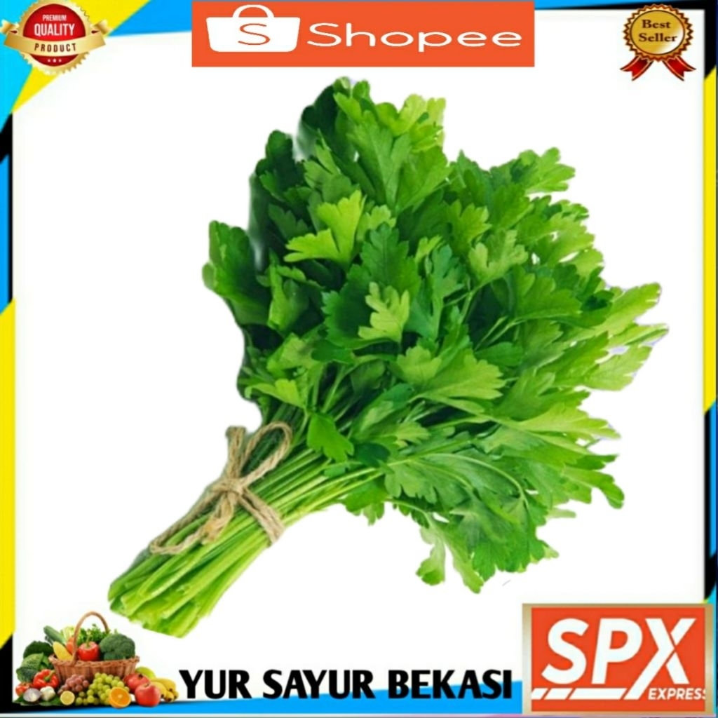 

Daun Seledri 1 ikat.