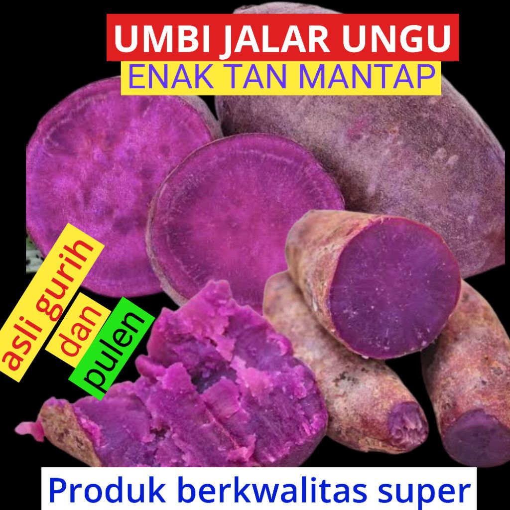 

UMBI UNGU / Ubi jalar warna ungu 500 gram