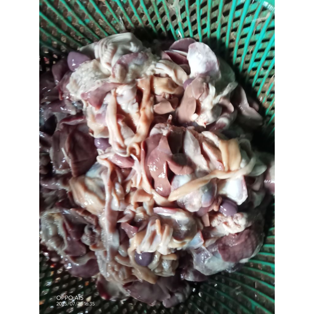 

10Hati Ampela dan 20 Kepala Ayam Pejantan