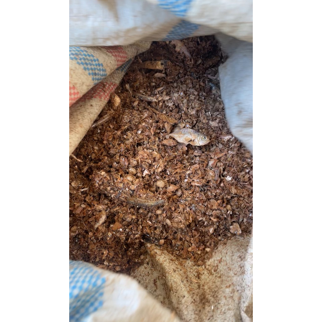 

ikan rucah kering asin 10 KG