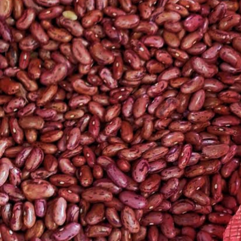 

KACANG MERAH MENTAH KACANG RAJMA DHAAL DAAL FOUL 1KG