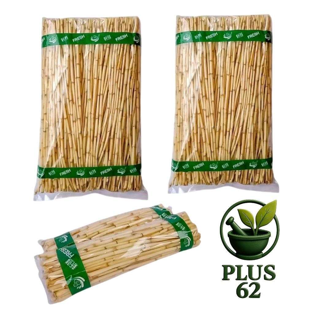 

AKAR ALANG-ALANG SEGAR ATAU AKAR ILALANG BERSIH 500 GRM