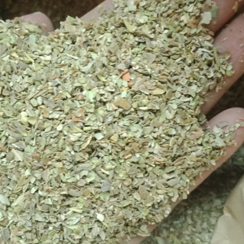 

Bumbu Masak Oregano / Rempah Oregano / Oregano Powder 1kg