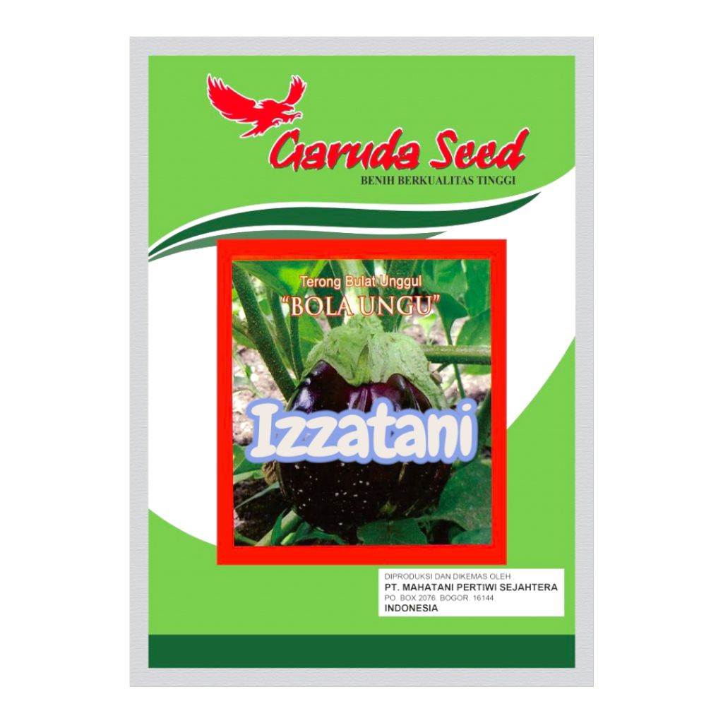 Benih Terong Ungu Bulat Bola Ungu 5gram Benih Terong Bibit Terong Ungu