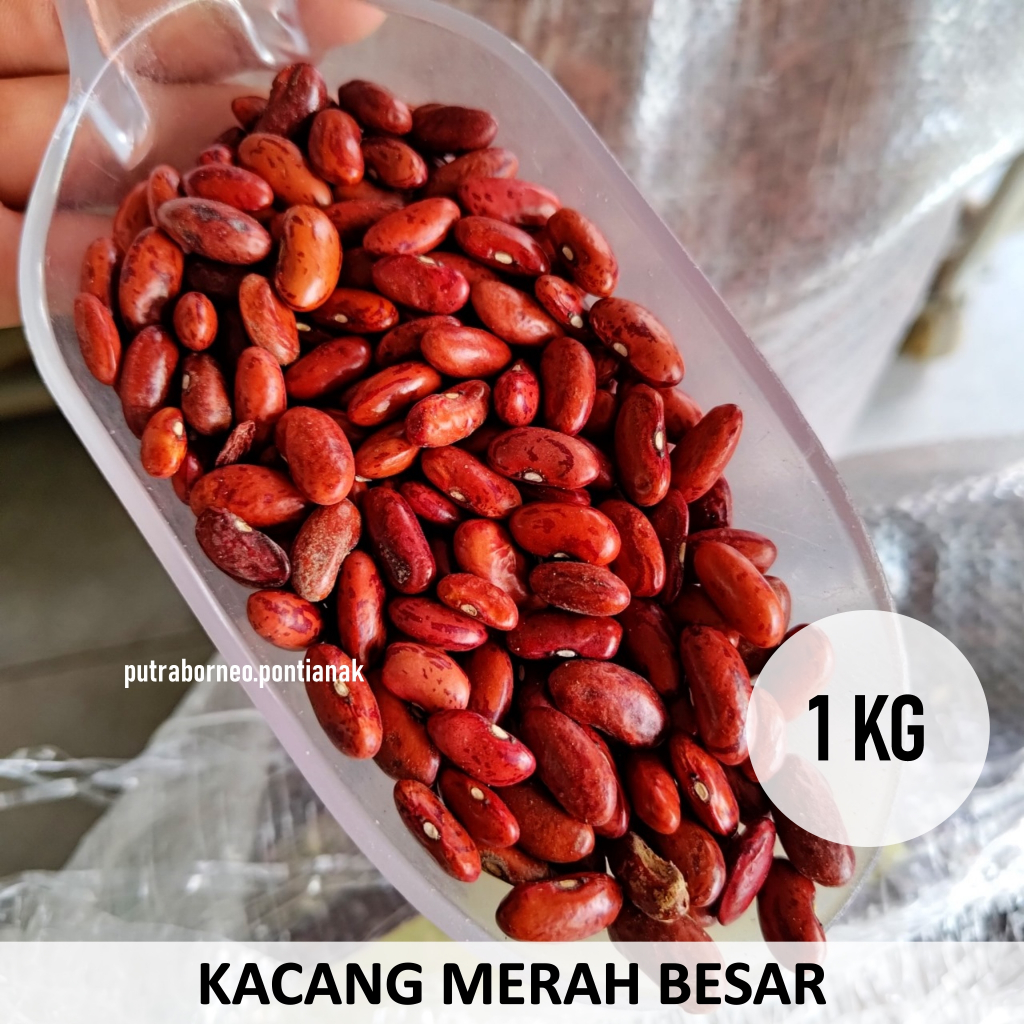 

Kacang Es Besar Torupa / Kacang Merah Es / Kacang Merah Jogo / Bubur Kacang Merah