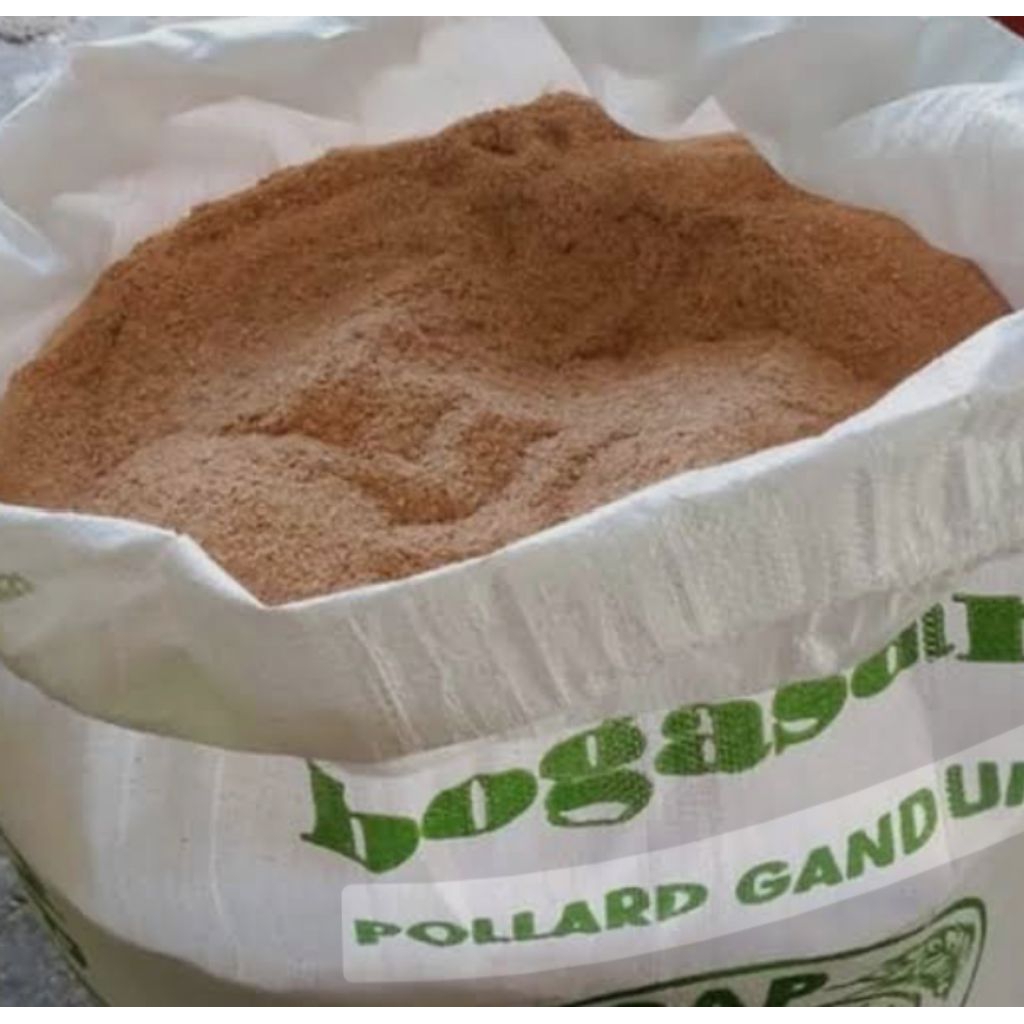 ECER KILOAN POLAR ANGSA