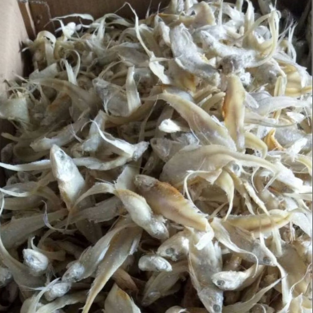 

NALA IKAN ASIN Bulu Ayam Jelantir Gurih Seafood Kering Fresh Premium 100g 250g 500g