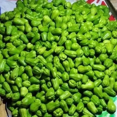 

labu siam kecil acar 500 gram dan 1kg