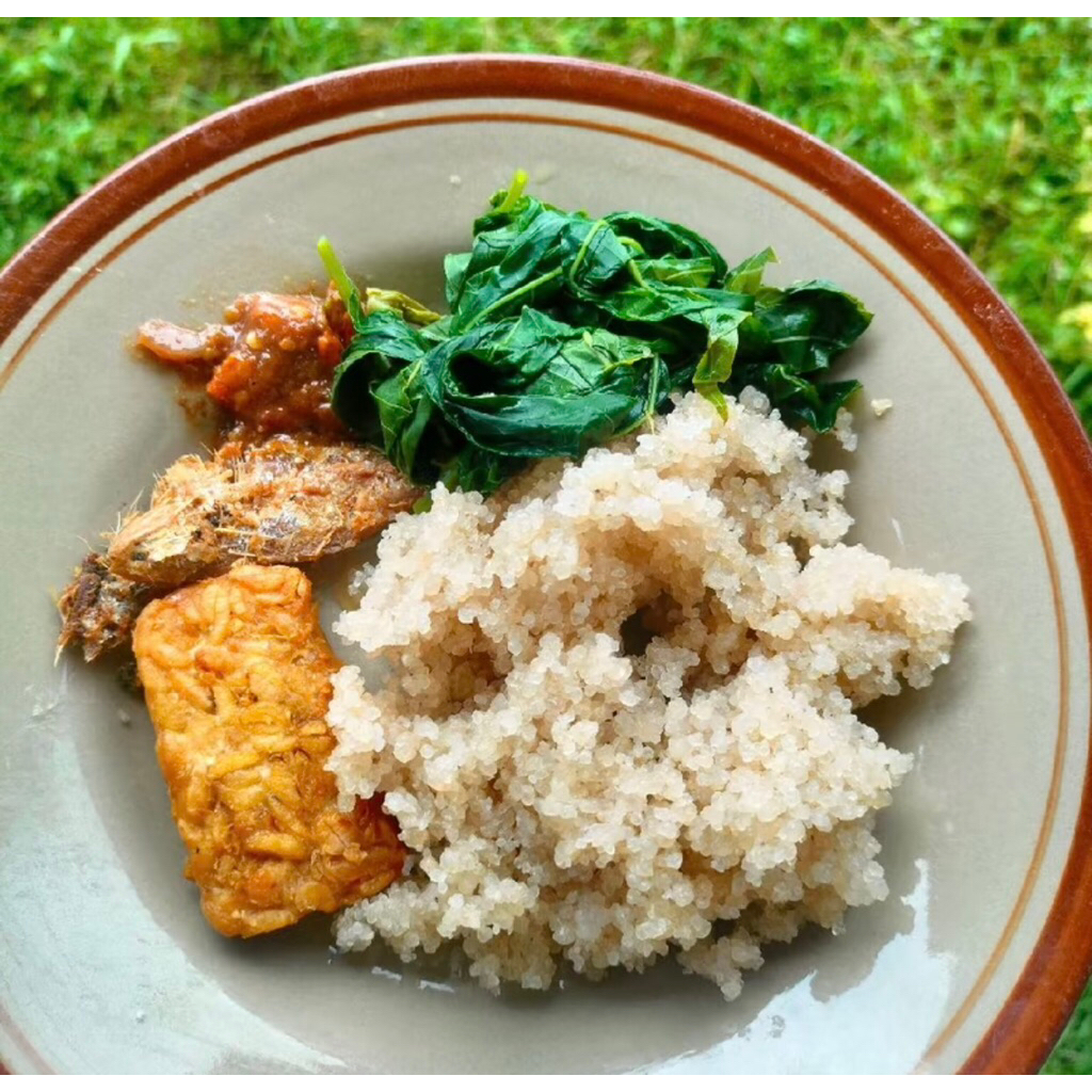 

Tiwul/oyek singkong pilihan petani berkualitas tinggi