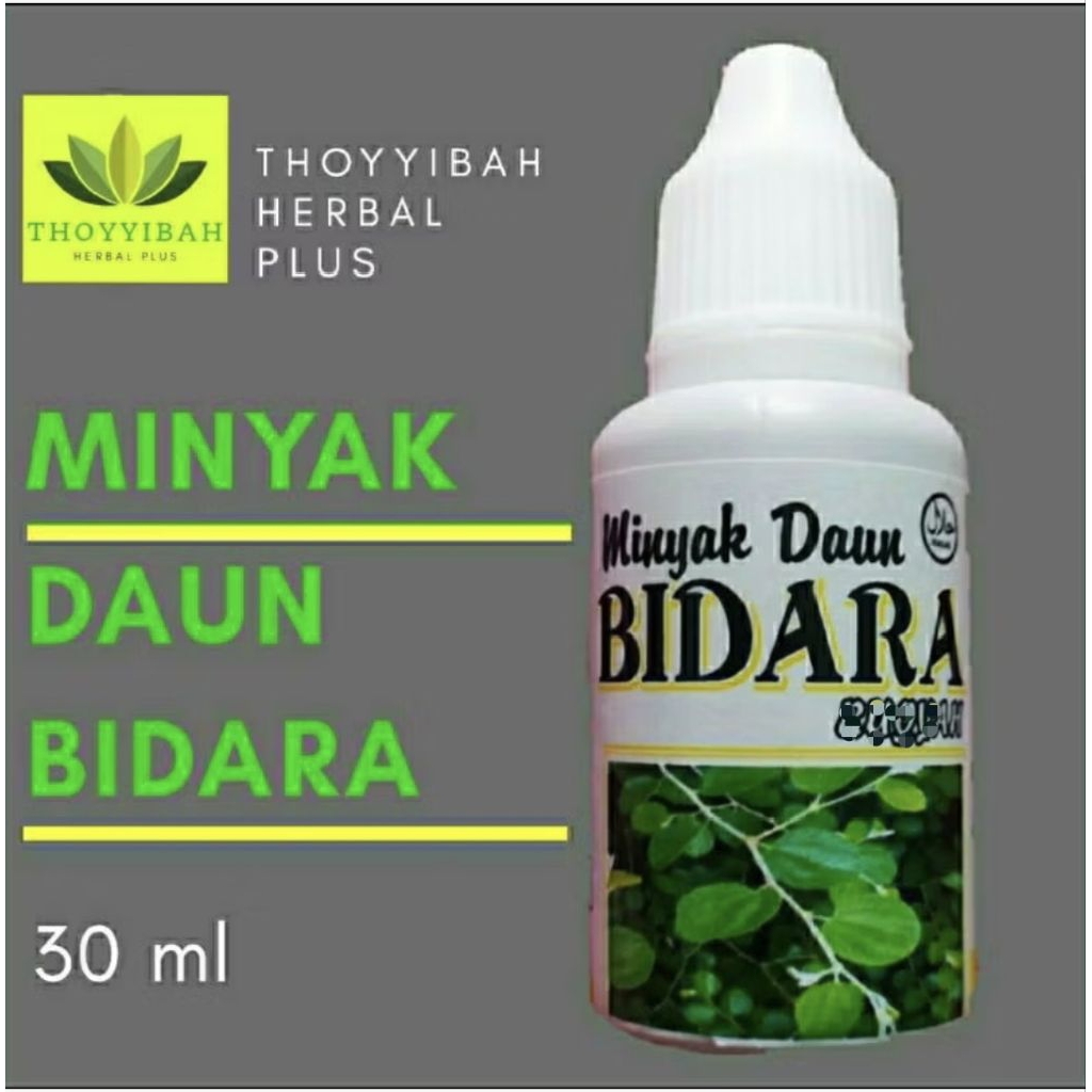 MINYAK BIDARA Pohon Bidara Arab Minyak Daun Bidara ASLI / Original