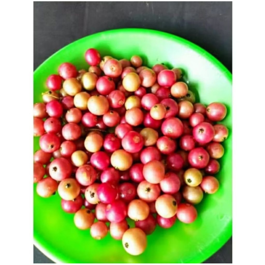 

Buah kersem/kersen isi 20 buah