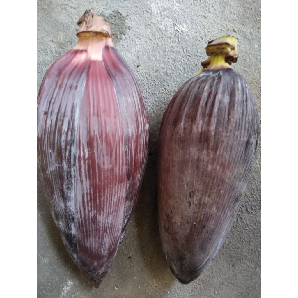 

jantung pisang segar untuk disayur isi 2pcs