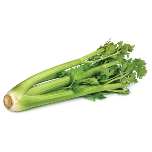 

Celery Stick / Celery Segar /Seledri Besar / Seledri Jumbo / Celery Stick Import Fresh /10 Kg / Box