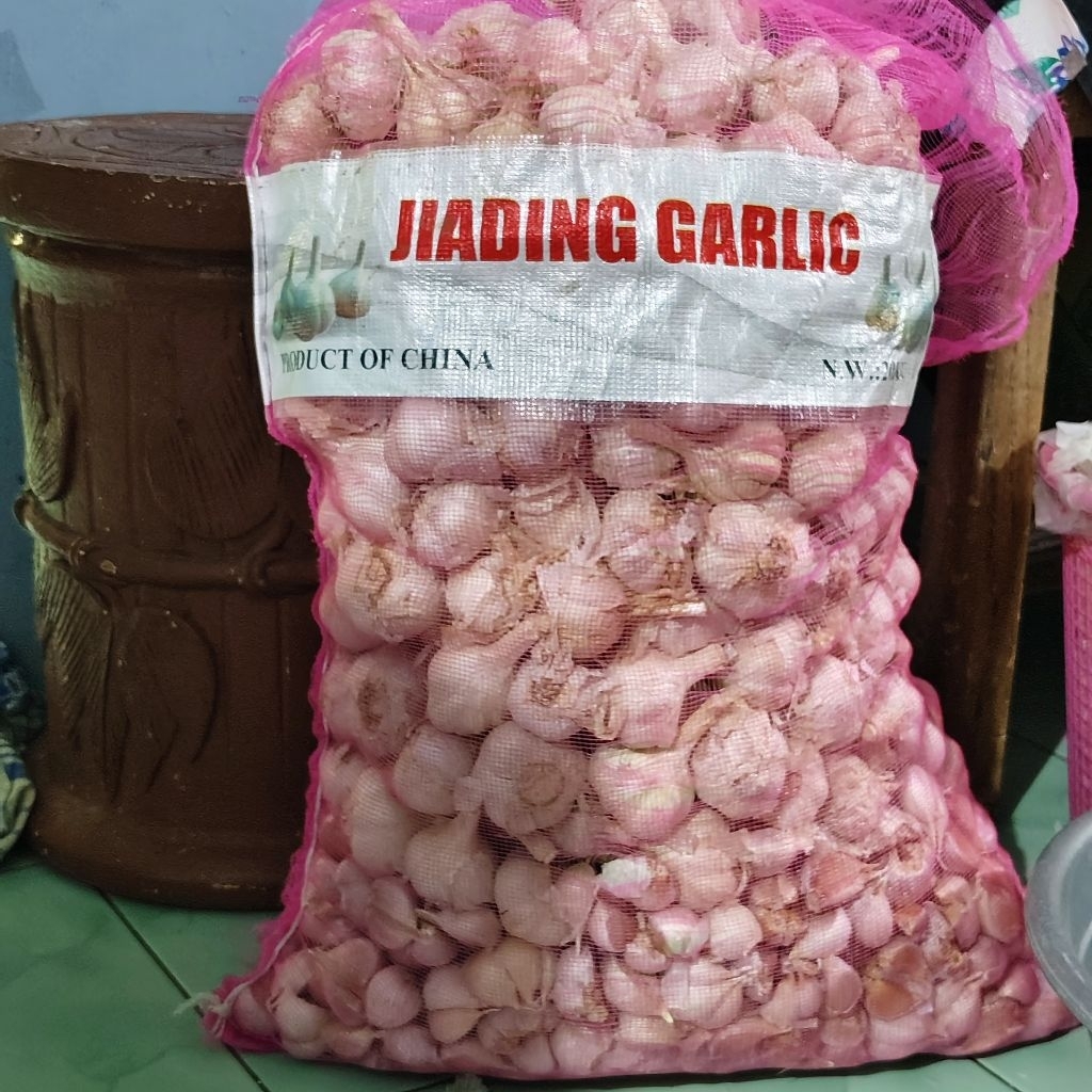 

Bawang kating