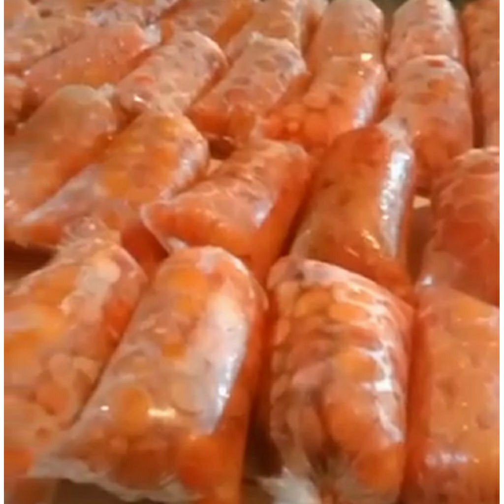 uritan umpan telur muda