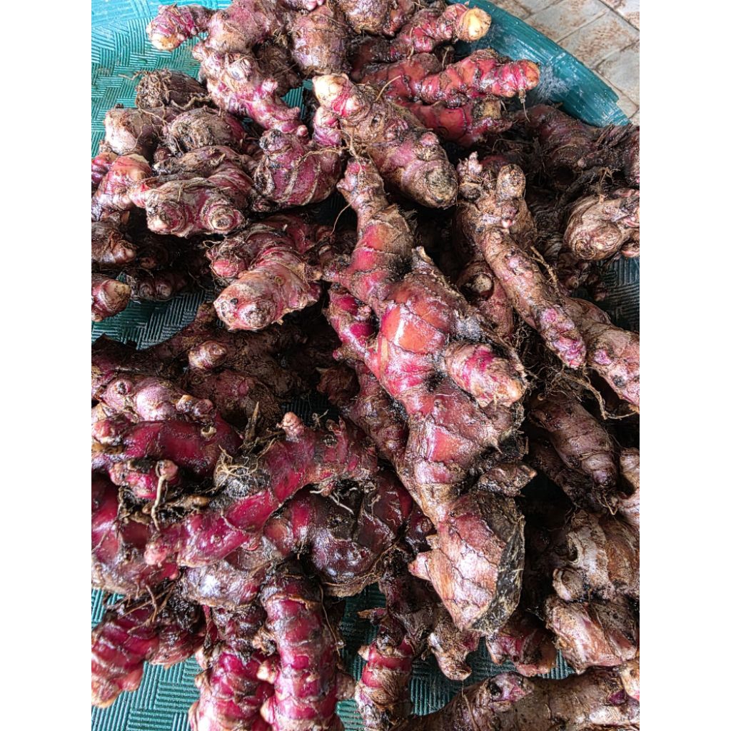 

Jahe merah berkualitas 1kg