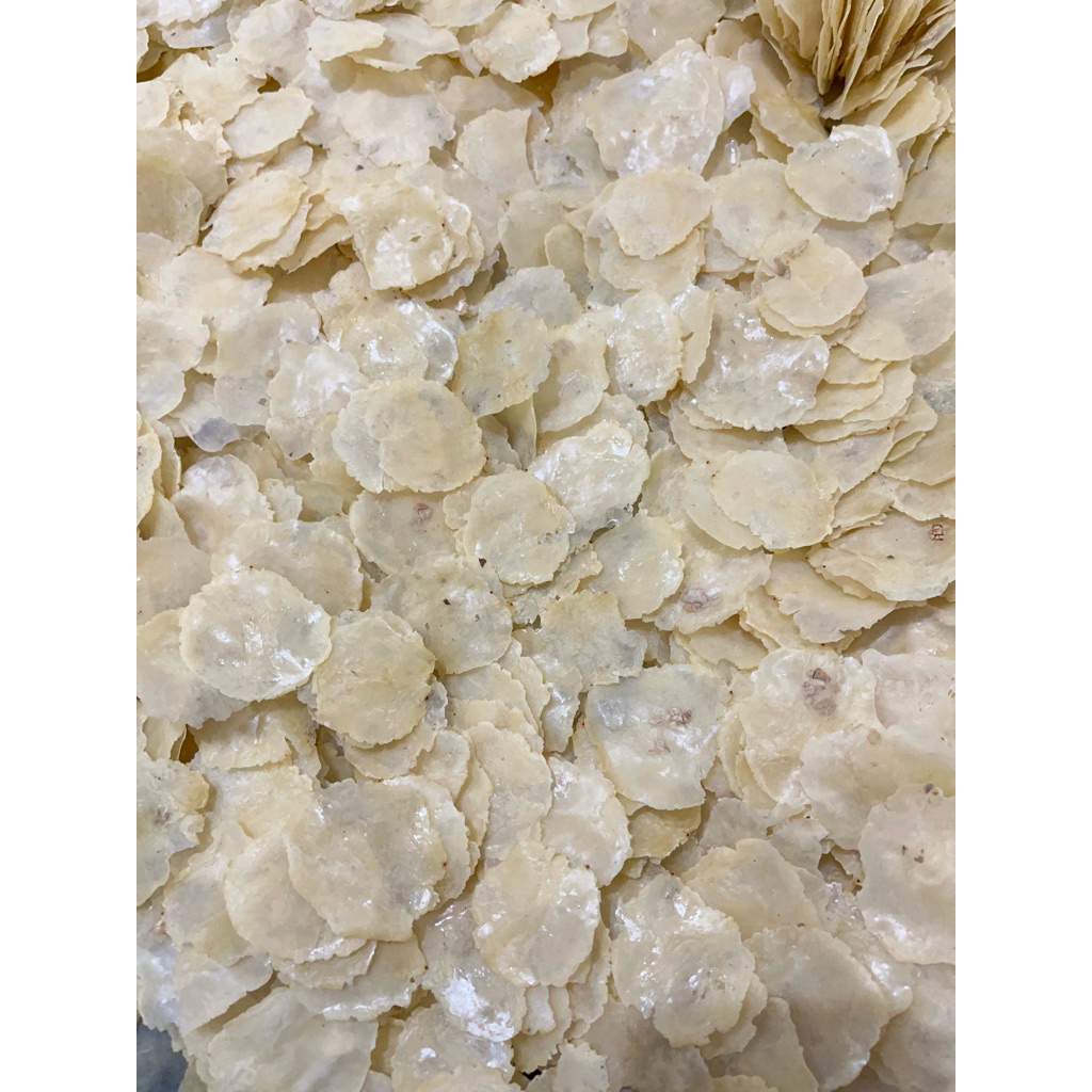 

(EMPING MELINJO SUPER) 1KG FULL KERING PASAR SIAP GORENG SP BIJI 1&2