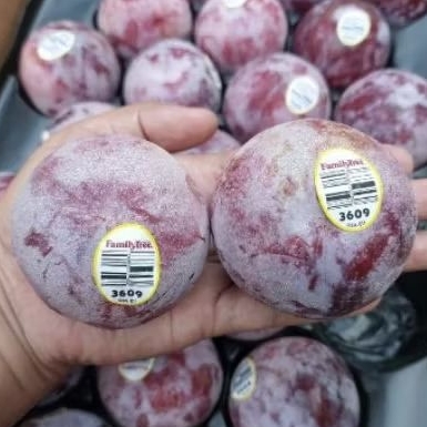 

Buah plum red USA plum merah family tree super segar 500 gram