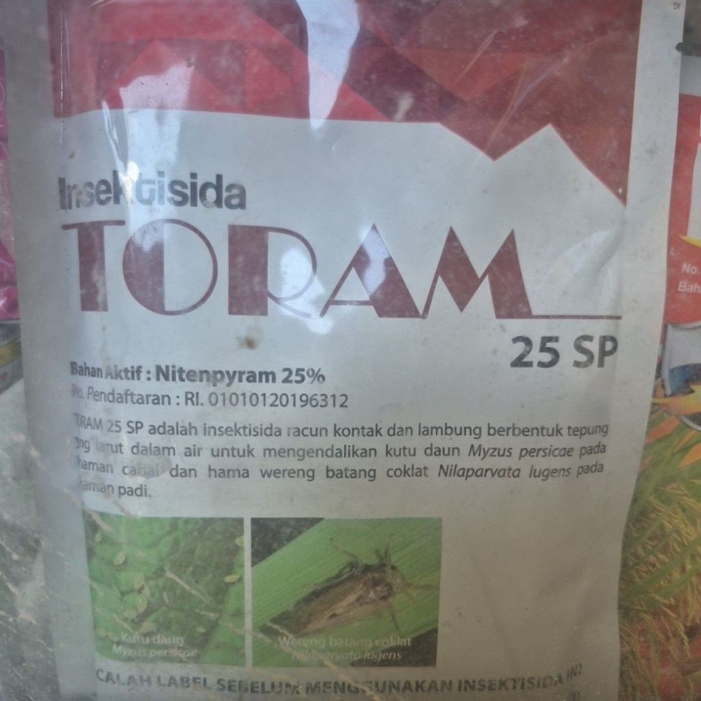 toram 25 sp