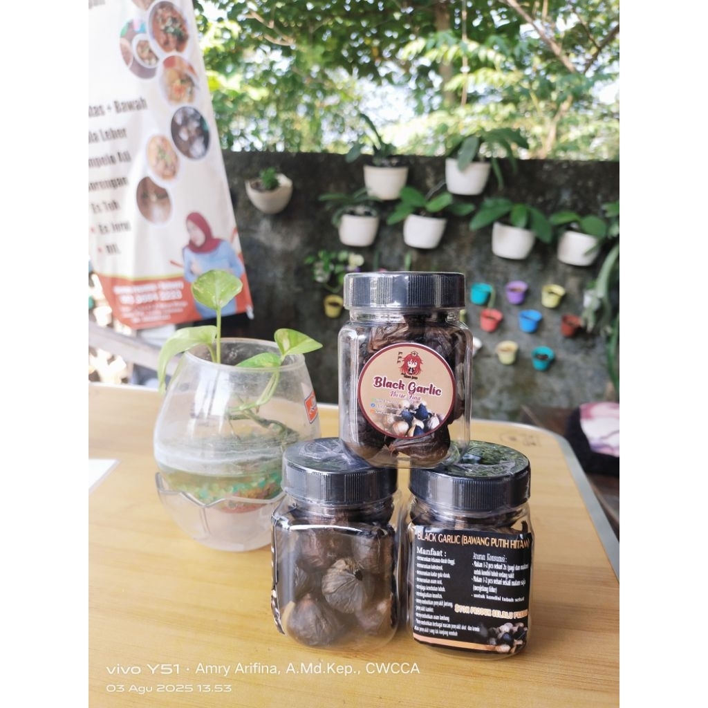 

Black Garlic Original Fresh Stock ( obat herbal untuk segala penyakit dan imunitas / daya tahan tubuh )